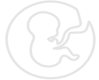 watermark
